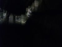 DSCF1410
